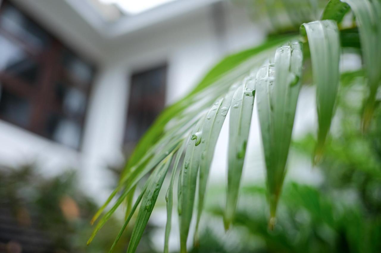 Ma Vieng Chiang Mai Hotell Exteriör bild