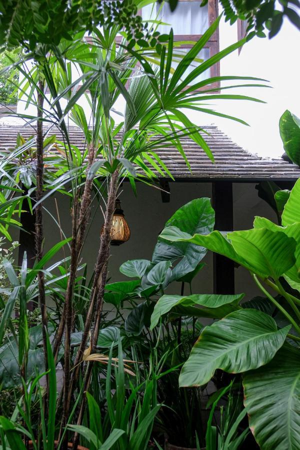 Ma Vieng Chiang Mai Hotell Exteriör bild